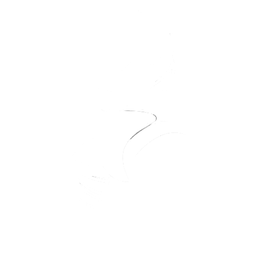 EAGLE VISSION